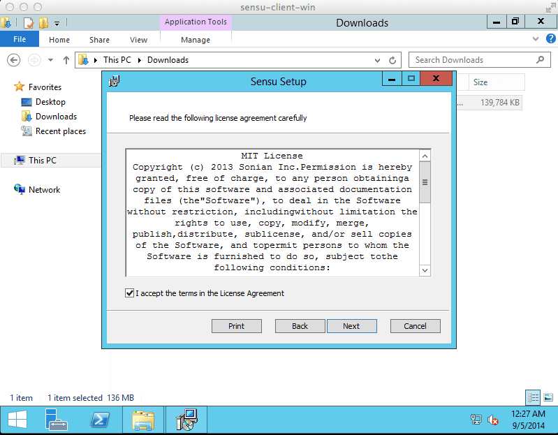 Sensu を Windows にインストール - インストール (4)