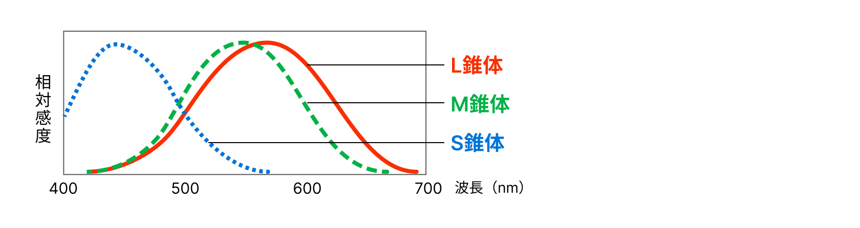 LMS 3つの錐体の機能不全がない状態