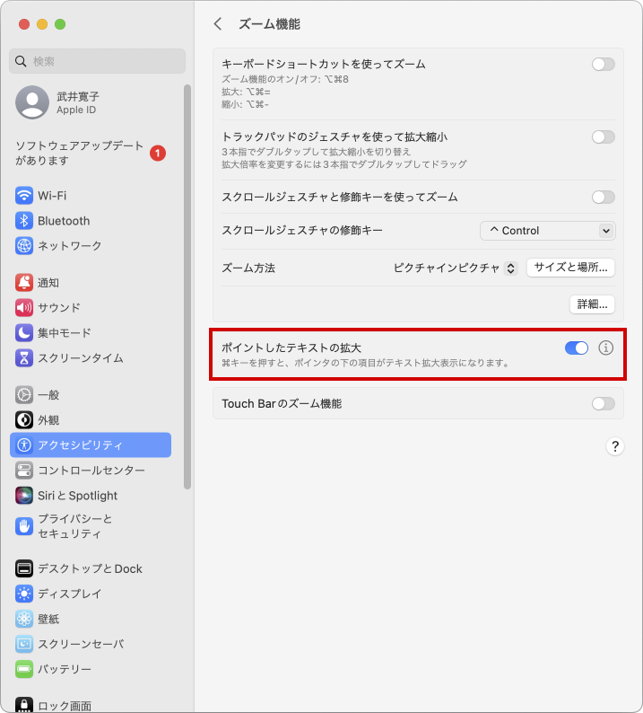 設定場所：「システム設定」＞「アクセシビリティ」＞「ズーム機能」＞「ポイントしたテキストの拡大」