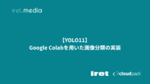 【YOLO11】Google Colabを用いた画像分類の実装