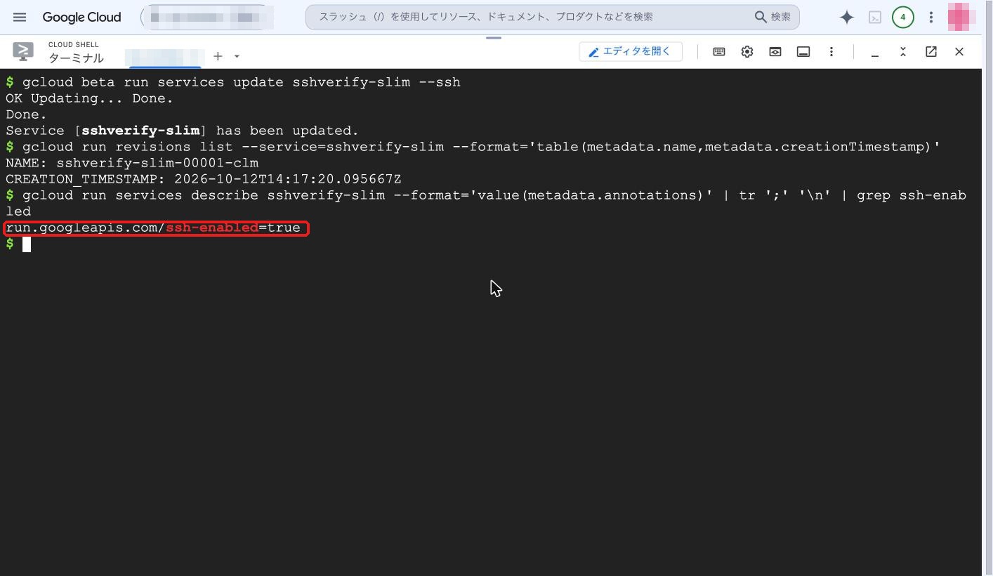 --ssh で有効化した直後