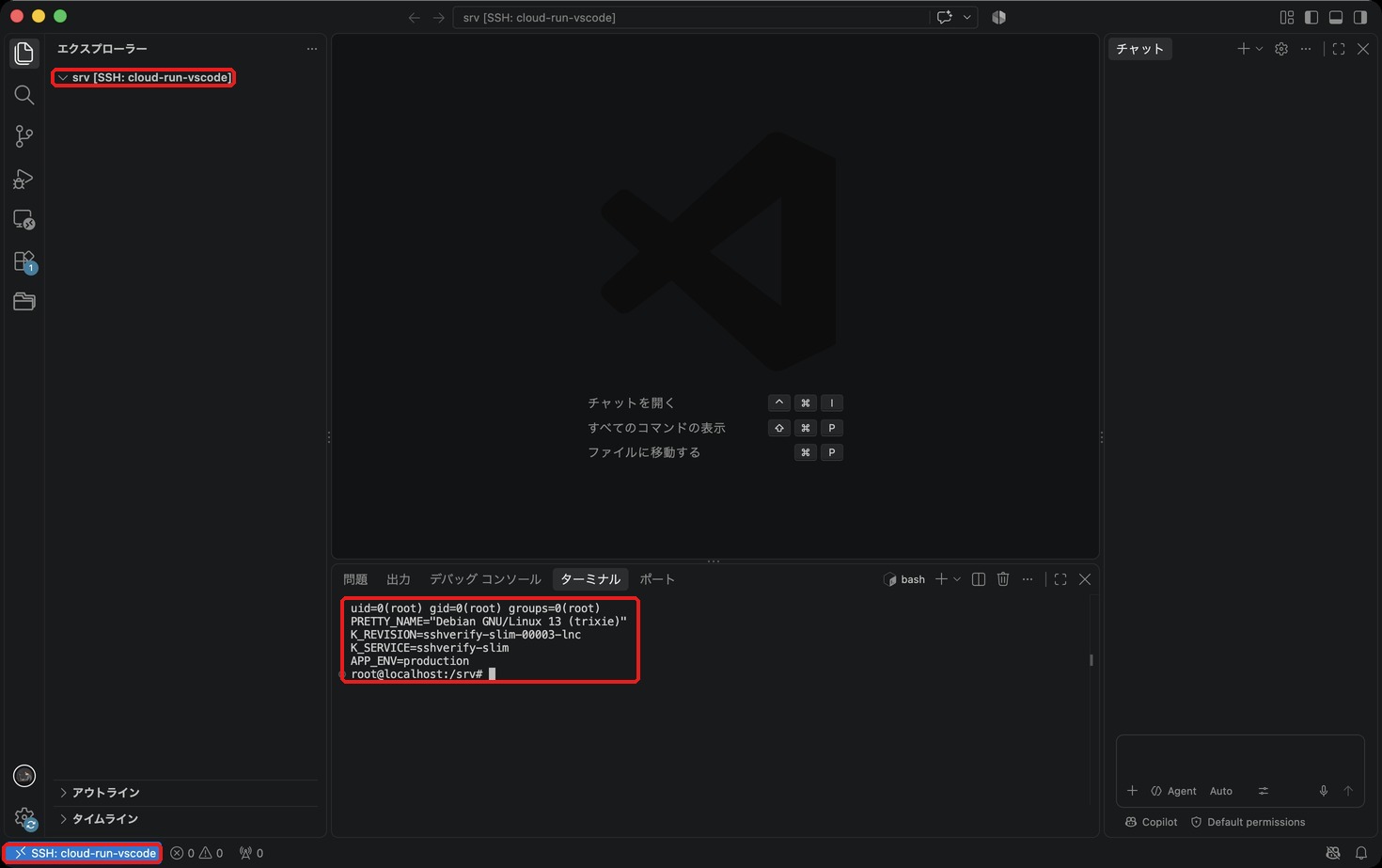 VS Code の Remote-SSH で接続した画面